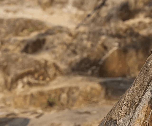 定爬山但是爱穿山地鞋?松弛到底的年轻人:不一(图17) 定爬山但是爱穿山地鞋?松弛到底的年轻人:不一(图17)